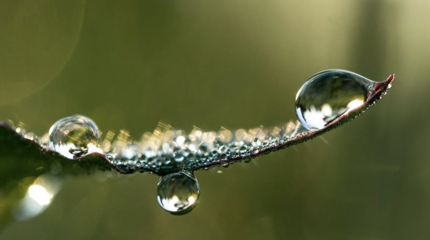 South West Water helps customers save water and save money whilst protecting the environment
